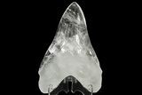 7.4" Realistic, Carved Clear Quartz Megalodon Tooth - Replica - Photo 3